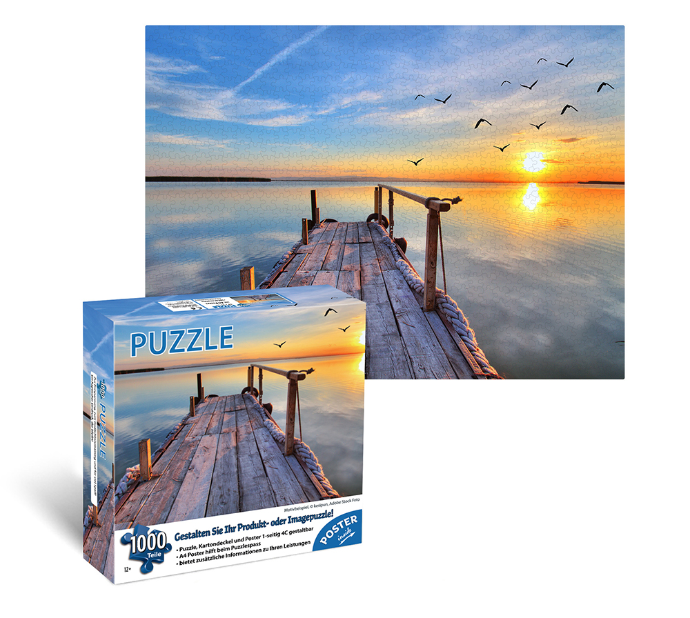 SP-017_Puzzle_Beispiel_mit_Karton